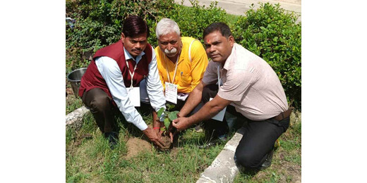 सुशीला देवी की पुण्य स्मृति में पीपल का पौधारोपण, पर्यावरण संरक्षण का दिया संदेश